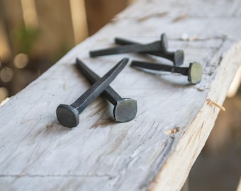 Hand Forged Square Nails, Set of 2