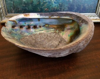 Vintage Abalone Shell 1950's