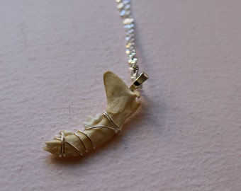 REAL BONE Mink Jaw Wire Wrapped Necklace