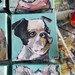 Boston terrier. Dog. Puppy. Original painting