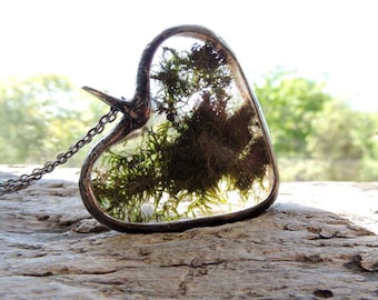 raw, Real Moss Necklace, terrarium necklace, dried moss,Real moss necklace, botanical,science jewelry ,natural specimen ,real plant jewelry