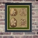 Counted Cross Stitch Pattern - Four Sand Dollars - PDF Instant Digital Download