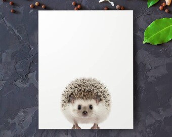 Hedgehog print, Woodland animals, PRINTABLE art, Nursery decor, Animal art, Baby animals, Nursery wall art, Kids art, Baby boy nursery art