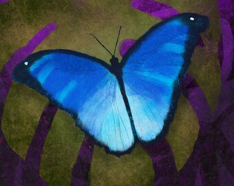 Blue Morpho butterfly on tropical leaf