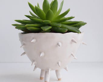 Handmade white ceramic spiky cactus planter, ceramic cactus planter, white plant pot, succulent planter, flower pot, white pottery planter