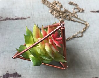 Air Plant Necklace