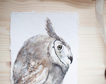 Olly, Great Horned Owl