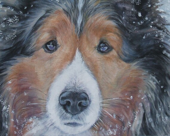 print inch for frame 8x10 print portrait CANVAS dog of Shetland art LA sheltie Sheepdog