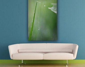 Green Grass Dew Drop Macro Photograph, Fragile Delicate Water Drop Photography, Minimalist Wall Art, Vertical Decor, Fine Art Photo Print