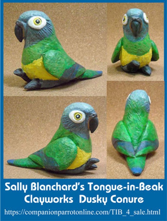 DUSKY CONURE Tongue-in-Beak Clayworks Mini-gem Sally Blanchard