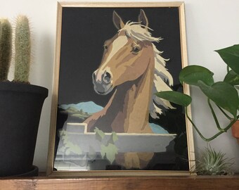 Horse Head Paint By Number Velvet Painting