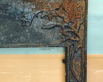 Fireplace mantel antique fireplace surround Architectural salvage cast iron fireplace cover fireplace insert summer screen Art Nouveau decor