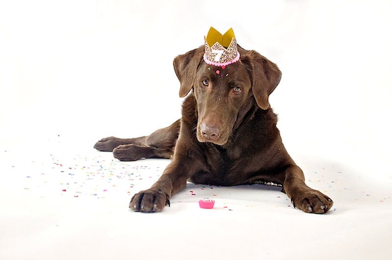 Dog Birthday Crown Hat || Animal Party Hat || Cat Kitty Puppy Pig Birthday Crown Hat || Add Any Number