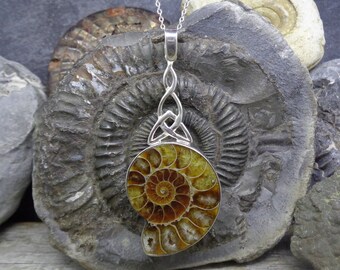 Madagascar Ammonite Fossil Pendant, 925 Sterling Silver, FREE WORLDWIDE DELIVERY Celtic Trinity Design, Scottish, Scotland, Two Skies (9227)