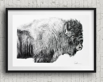 Black & White buffalo Print buffalo Home Decor buffalo illustration