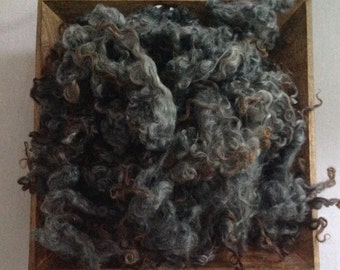 Gotland sheep locks - 100g, washed.