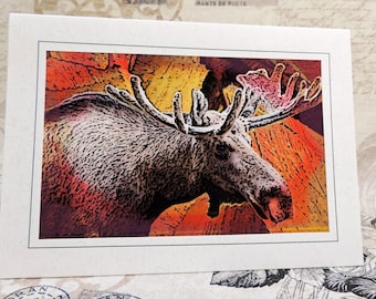 Moose Greeting Card, Moose Art Card, Moose Photo Art