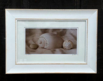 Shell Sonnet II by Judy Mandolf