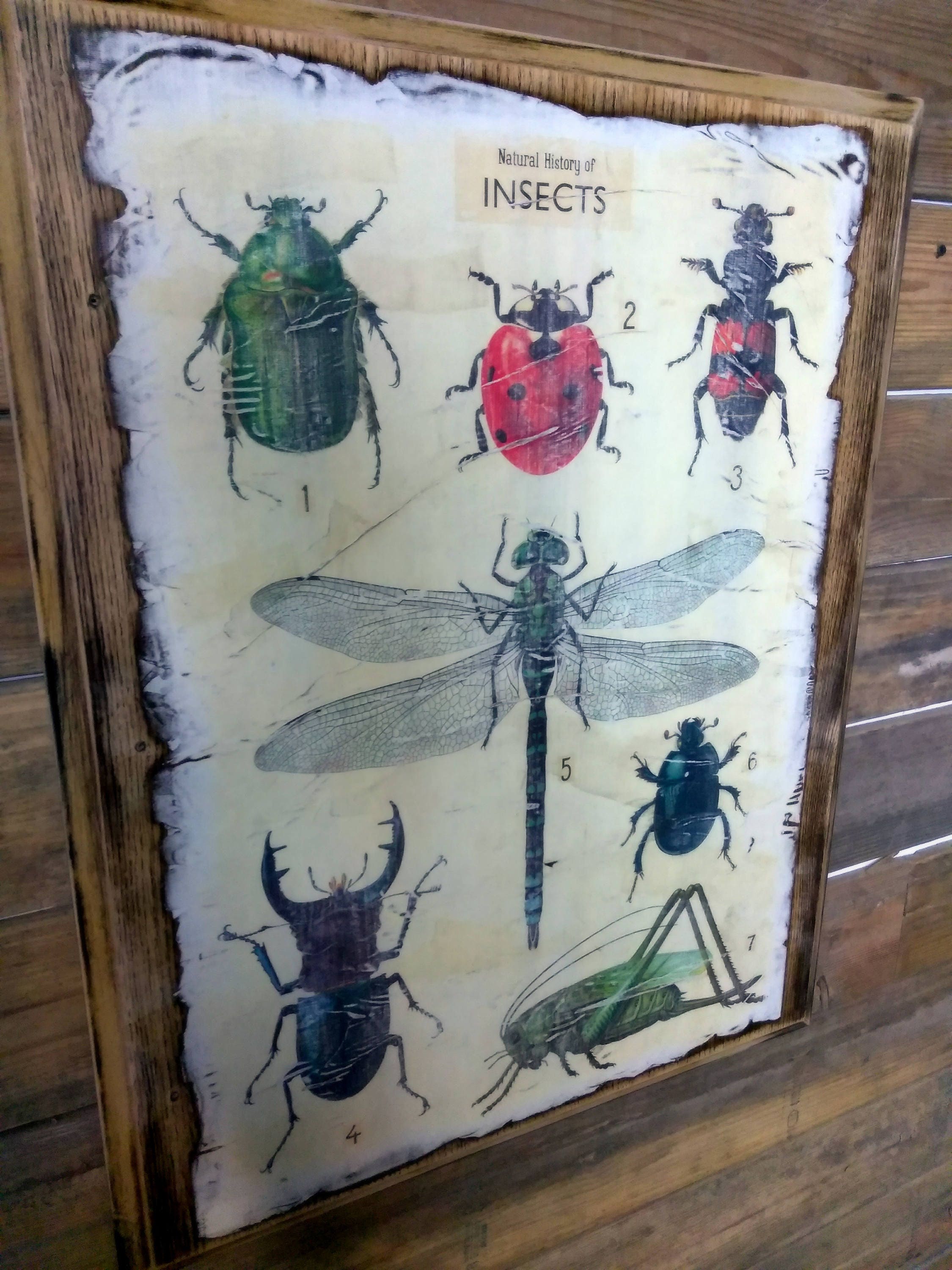 Reclaimed Wood Bug Insect Wall Art