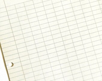Vintage Paper. Vintage Ledger Paper. Ledger Paper. Vintage Graph Paper. Journal Paper. Vintage Junk Journal. Vintage Ephemera. Paper Pack.