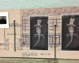 Lizard x-ray with glass vials- science collage