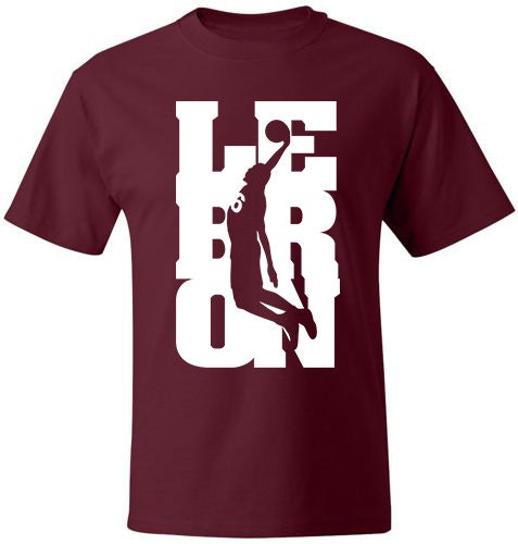 james lebron shirt