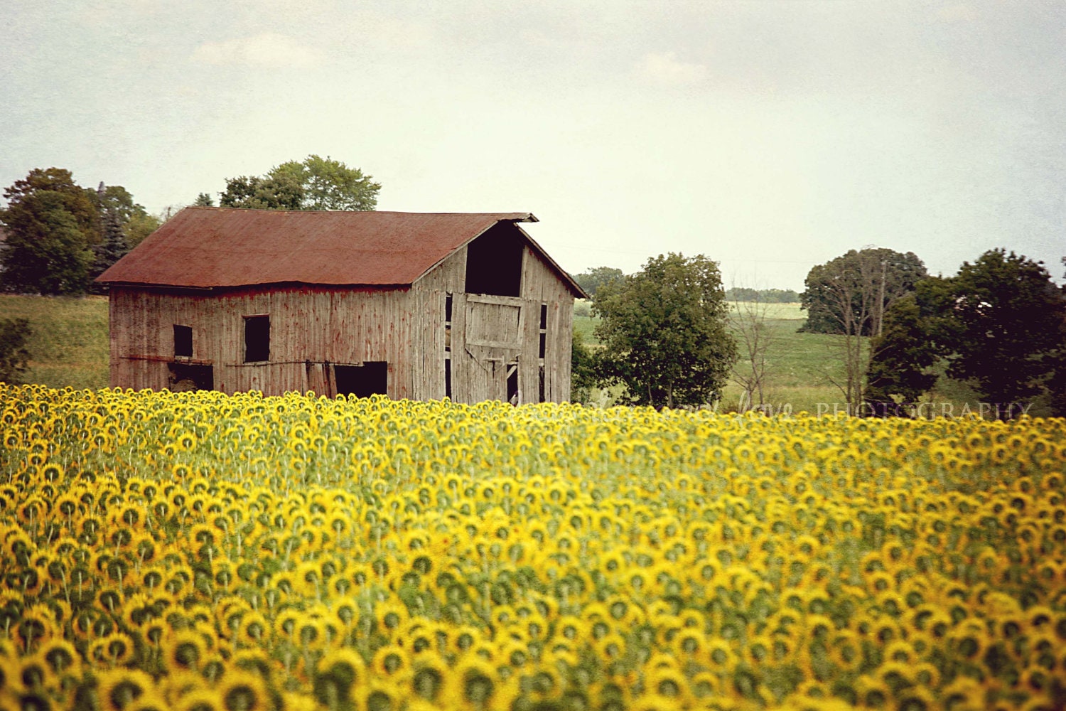 Rustic Countrysides Rustic Countrysides Landscaping