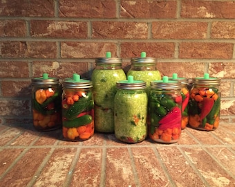 5 pack! Waterless Airlock for wide mouth mason jar lacto fermenting