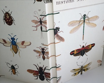 Insect Notebook Sketchbook or Journal // Coptic