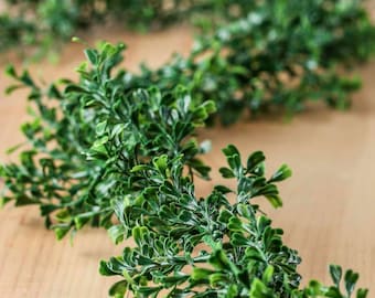 Artificial Boxwood Leaf Garland Greenery Runner Rustic Woodland Theme Decor Wedding Faux Leaf Hanging Outdoor Woodsy Mantle Table Woodland