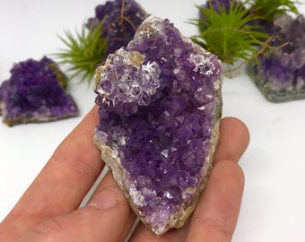 PICK YOUR SIZE! Amethyst Cluster, Amethyst Crystal, Healing Crystal, Gemstone, Raw Amethyst, Amethyst Geode, Amethyst Druzy