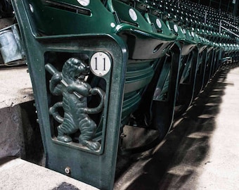 Seats at Comerica Park, Detroit Tigers, Michigan- Photography Prints