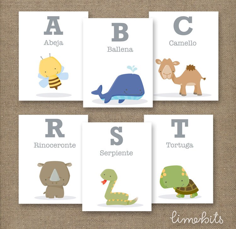 animal alphabet flash cards spanish 4x5in flash card size
