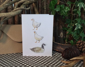 Duck, Duck, Goose! Illustration - Greetings Card - Sketchbuck