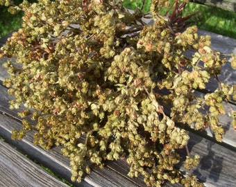 Dried Seed Pods, Seed Stalks. Natural Greenery to Light Brown. Dried Flowers. Floral arrangements, bouquets, craft supplies.