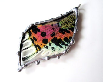 Madagascan Sunset Moth Pendant, Real Butterfly Jewelry