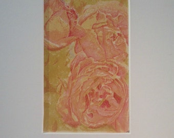 cabbage rose, lithography