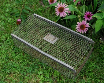 Wire Animal Cage - rusted metal - handled small animal cage
