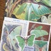 Night Goddess the Luna Moth Vintage Collage, Scrapbook and Planner Kit Number 2464