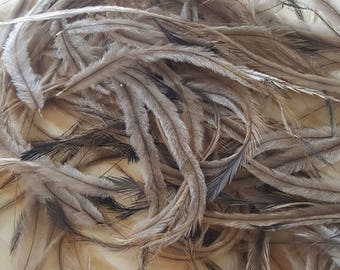 UNIQUE Emu Feathers Cruelty Free Humane Naturally Molted Real Feathers #957