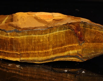 Beautiful Large Marra Mamba Tigereye Chunk- L1098