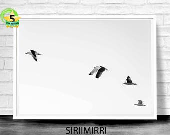 Birds Seagull Art Print Flying Birds Print Flock of Birds Wall Art Sea Print Minimalist Printable Art Black and White Beach Photo Ocean Art