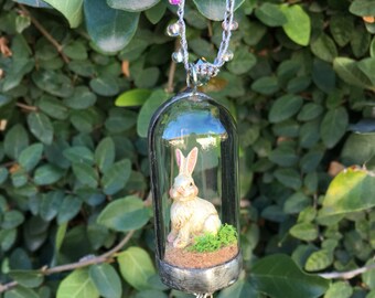 Bunny in a glass cloche