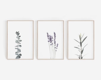 Set of 3 Prints,Farmhouse Decor,Botanical Print,Wall Decor,Eucalyptus Print,Lavender Print,Watercolour Lavender,Printable Wall Art,Art Print
