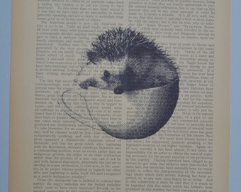 Hedgehog in a Teacup Print