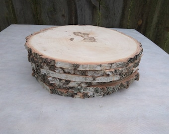 11 inch Birch Slice,Large Wood Slice, 11" wood slice,wood coaster,wood slab,wood platter,Rustic Wedding Decor,Cake Stand,Wedding Centerpiece