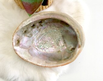 XLarge Vintage Abalone Shell / Seashell Air Plant Holder / Smudging Bowl