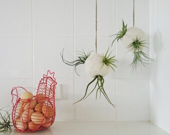 Air Plant Hanger - Air Plant Bubble - Llama Fibre - Natural Decor - Felt Pod - Indoor Planter - Air Plant Pod - Tillandsia Planter - Pod
