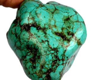 293.50 Ct. Natural Arizona Mine Kingman Turquoise Gemstone Rough Best Deal