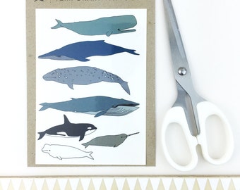 whale temporary tattoos - wildlife body art - narwhal - orca - illustrated fake tattoo